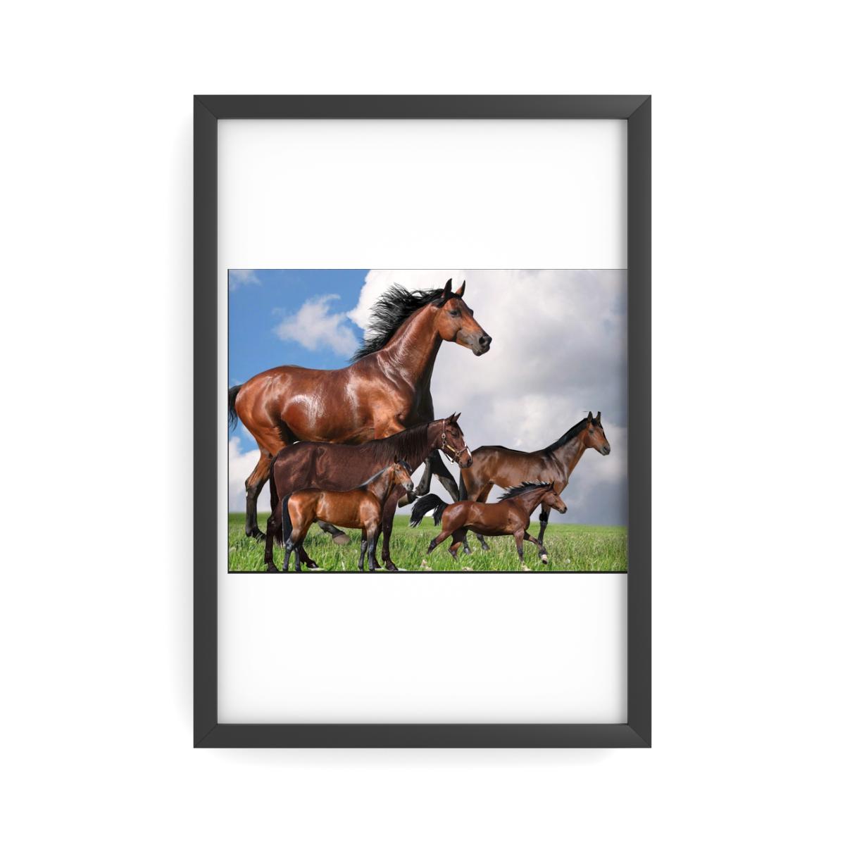 Premium Semimatte Poster of Horses