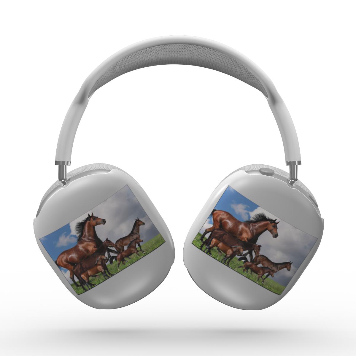 Apple AirPods Max Tough Horse Case